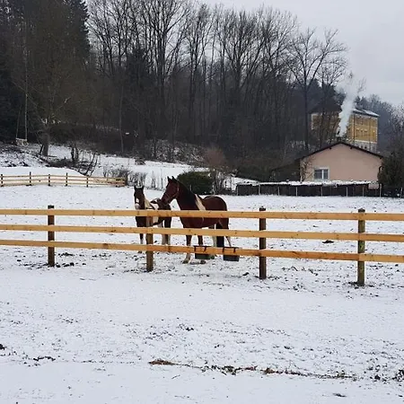 Apartament Haus Seidendorf
