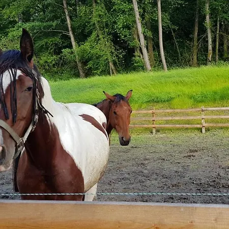 Haus Seidendorf Apartmán Sankt Kanzian am Klopeiner See