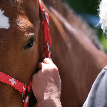 Haus Seidendorf Sankt Kanzian am Klopeiner See