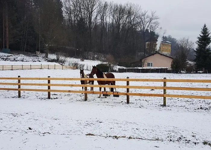 Apartmán Haus Seidendorf