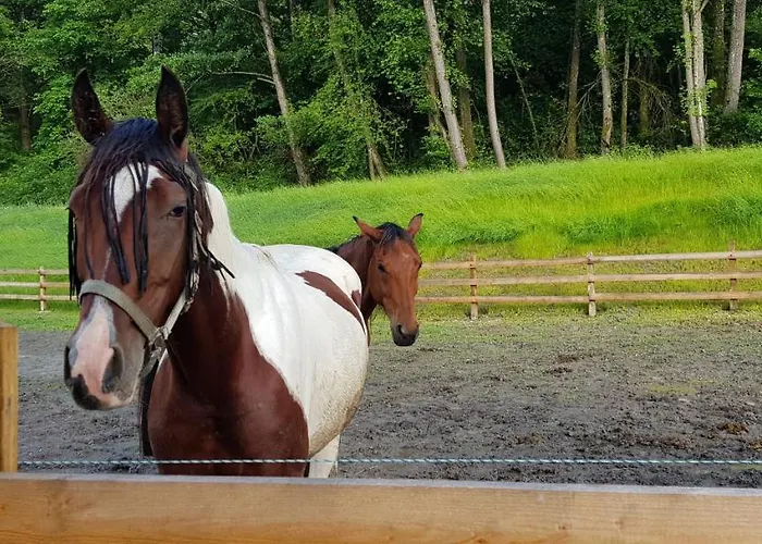 Haus Seidendorf Apartmán Sankt Kanzian am Klopeiner See