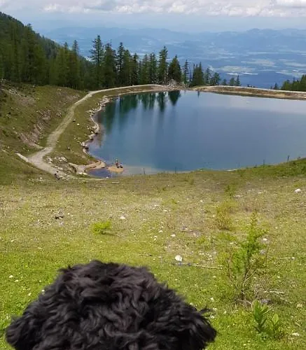 Haus Seidendorf شقة