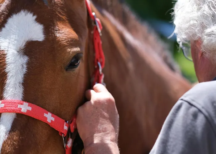 Haus Seidendorf Sankt Kanzian am Klopeiner See